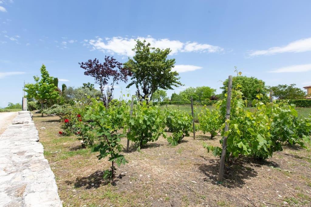 Villa Ruffo 坎波巴索 外观 照片